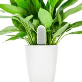 Xiaomi smart plantesensor med Bluetooth Måler fuktighet,  næringsinnhold,  temperatur og lys (VegTrug Flora Monitor) (FLORA-MONITOR)