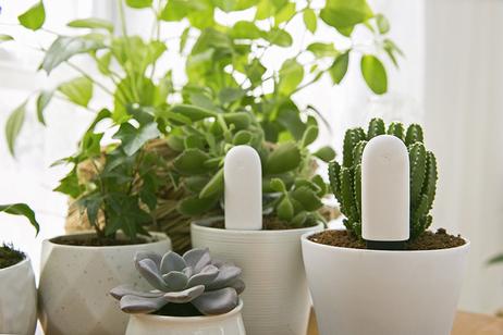 Xiaomi smart plantesensor med Bluetooth Måler fuktighet,  næringsinnhold,  temperatur og lys (VegTrug Flora Monitor) (FLORA-MONITOR)