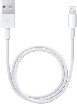 Apple LIGHTNING TO USB CABLE (0.5 M)                          ML CABL