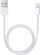 Apple LIGHTNING TO USB CABLE (0.5 M)                          ML CABL