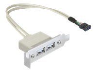 Delock Slot bracket - USB-kabel - USB til 9-pins USB-header - 50 cm (83119)