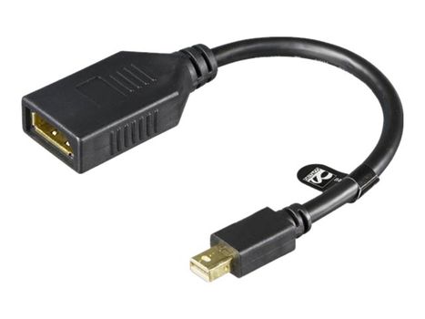 Deltaco MDP-DP1 - DisplayPort-adapter - 15 cm (MDP-DP1)