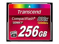 Transcend Premium - flashminnekort - 256 GB - CompactFlash (TS256GCF800)