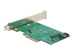 DELOCK Diskkontroller - mSATA - eSATA 6Gb/s, PCIe x4
