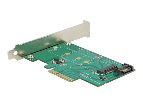 Delock Diskkontroller - mSATA - eSATA 6Gb/s, PCIe x4