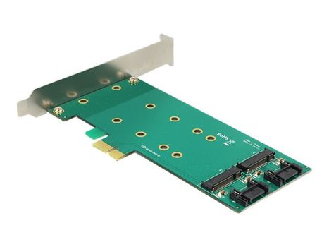 Delock PCI Express Card > 2 x internal M.2 - Diskkontroller - M.2 Card / SATA 6Gb/s - PCIe x1