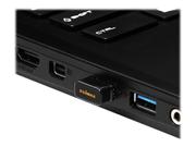 EDIMAX EW-7611ULB 2-in-1 N150 Wi-Fi & Bluetooth 4.0 Nano USB Adapter - nettverksadapter - USB 2.0 (EW-7611ULB)