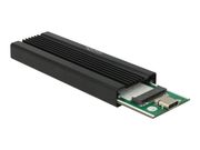 Delock drevkabinett - M.2 Card - USB 3.1 (Gen 2) (42600)