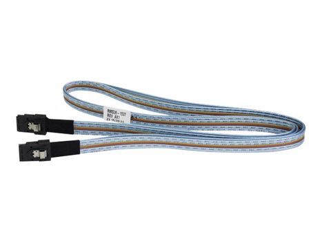 Hewlett Packard Enterprise HPE SAS ekstern kabel - 2 m (407339-B21)