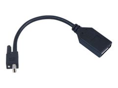 MATROX TripleHead2go upgrade DisplayPort-adapter