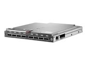 Hewlett Packard Enterprise HPE 6Gb SAS BL Switch - switch - 8 porter - plugg-in-modul (BK764A)