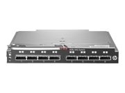 Hewlett Packard Enterprise HPE 6Gb SAS BL Switch - switch - 8 porter - plugg-in-modul (BK764A)