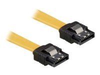 Delock Cable SATA - SATA-kabel - 30 cm (82805)