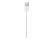 Apple Lightning-kabel - Lightning / USB - 1 m (MXLY2ZM/A)