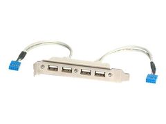 StarTech 4 Port USB A Female Slot Plate Adapter - USB panel - 4 pin USB Type A (F) (USBPLATE4) - USB-panel - USB til 9-pins IDC