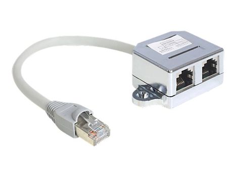 Delock RJ45 Port Doubler - Ethernet 100Base-TX-splitter - 15 cm (65441)