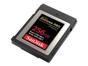 SanDisk Extreme Pro - flashminnekort - 256 GB - CFexpress (SDCFE-256G-GN4NN)