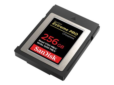 SanDisk 256GB Extreme Pro CFexpress Type B (SDCFE-256G-GN4NN)