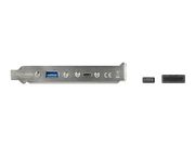 Delock Slot bracket - USB-panel - 50 cm (89934)