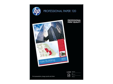 HP Professional Glossy Paper - papir - blank - 250 ark - A3 - 120 g/m² (CG969A)