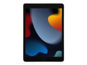 Apple 10.2-inch iPad Wi-Fi - 9. generasjon - tablet - 256 GB - 10.2" (MK2N3KN/A)