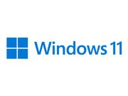 Microsoft Windows 11 Pro - nedlastning (FQC-10572)