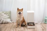 Xiaomi Smart Pet Food Feeder (BHR6143EU)