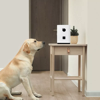 Pawbby smart godbitdispenser med kamera (MG-PSM001EU)