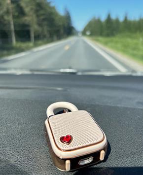 Divoom LoveLock Bluetooth-høyttaler (90100058212)