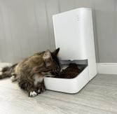 Xiaomi Smart Pet Food Feeder (BHR6143EU)