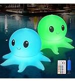 Ontario undervannslys IP68 (ONT-H20-LIGHT)