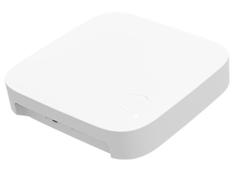 Futurehome Smarthub II