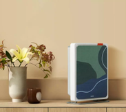 Xiaomi Smartmi Air Purifier E1 (AP5080DGEU)