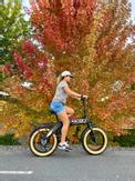 HAOQI Squirrel sammenleggbar elektrisk fatbike elsykkel elektrisk sykkel (HAOQI-Squirrel)