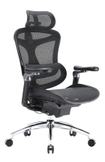 Sihoo Doro C300 Pro - svart ergonomisk kontorstol (SH-C300-PRO-M101)