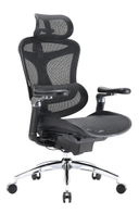 Sihoo Doro C300 Pro - svart ergonomisk kontorstol