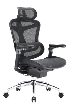 Sihoo Doro C300 Pro - svart ergonomisk kontorstol (SH-C300-PRO-M101)
