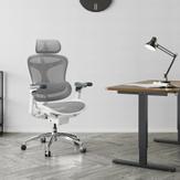Sihoo Doro C300 Pro - hvit ergonomisk kontorstol (SH-C300-PRO-M102)