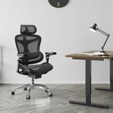 Sihoo Doro C300 Pro - svart ergonomisk kontorstol (SH-C300-PRO-M101)