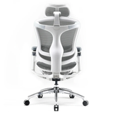Sihoo Doro C300 Pro - hvit ergonomisk kontorstol (SH-C300-PRO-M102)