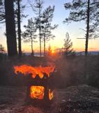 Adventure TiStove 200 titan kvistbrenner 208 gram, 115x155x175 mm (TiStove200)