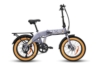 HAOQI Squirrel sammenleggbar elsykkel - grå (HAOQI-Squirrel-GR)