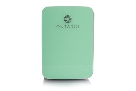 Ontario 10L minikjøleskap, mintgrønt/hvitt