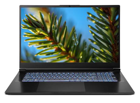 Multicom V370W 17.3" QHD - konfigurator 