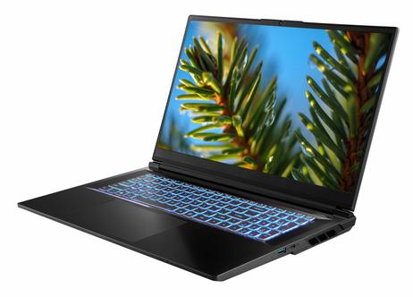 Multicom V370W 17.3" QHD - konfigurator 