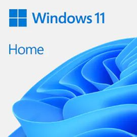 Microsoft Windows 11 Home ESD (OEM) flerspråklig nedlasting