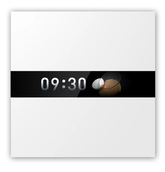 Aqara Display Switch V1 (WS-K02D)