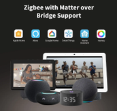 Aqara Display Switch V1 (WS-K02D)