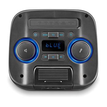 NGS Wild Club Bluetooth-høyttaler 80W - 38x24x22cm - 4kg (WILDCLUB)