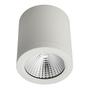 BA Megal 25W, 3000K (BA484-DL38-25WD)